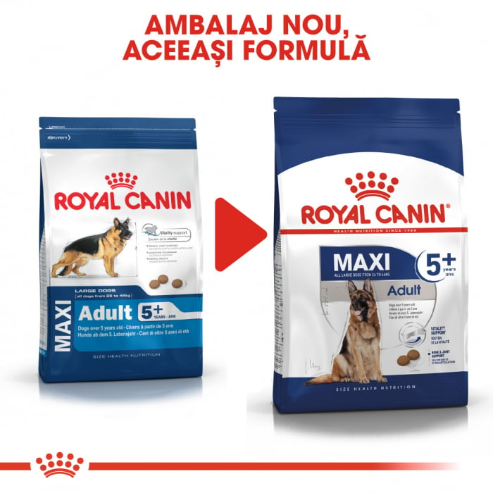 Royal Canin Maxi Adult 5+ hrana uscata caine [6]