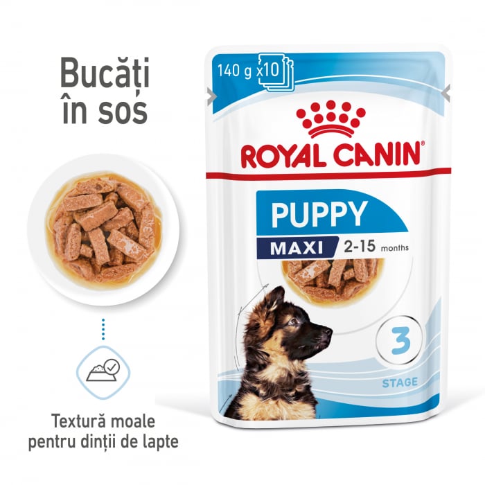 Royal Canin Maxi Puppy hrana umeda caine junior (in sos), 10 x 140 g [9]