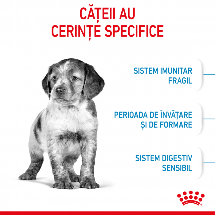 Royal Canin MEDIUM Puppy 1 Kg Hrana Uscata Caine [2]