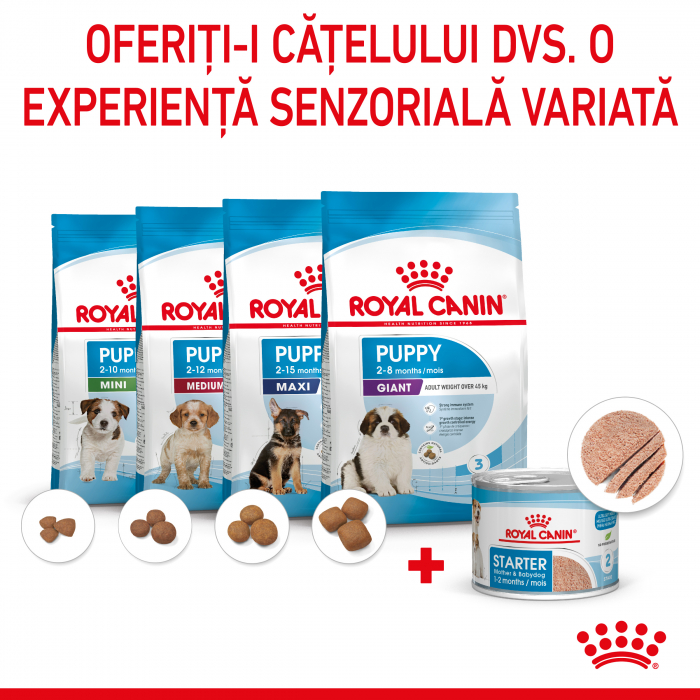 Royal Canin Starter Mousse can, 195 g [5]