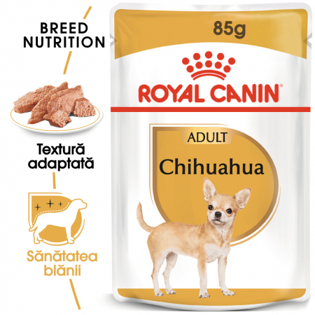 Royal Canin Chihuahua Adult hrana umeda caine (pate), 12 x 85 g [0]