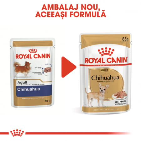 Royal Canin Chihuahua Adult hrana umeda caine (pate), 12 x 85 g [4]