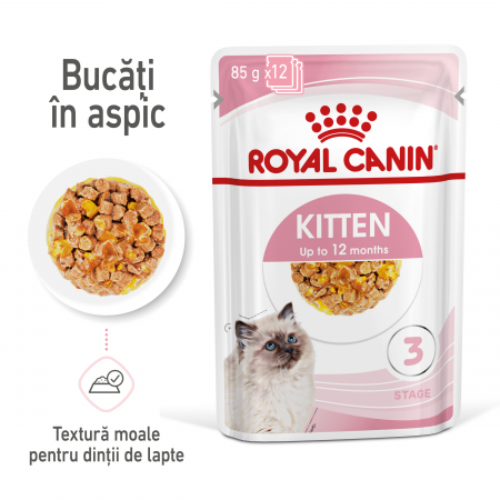 Royal Canin Kitten hrana umeda pisica (aspic), 12 x 85 g [9]