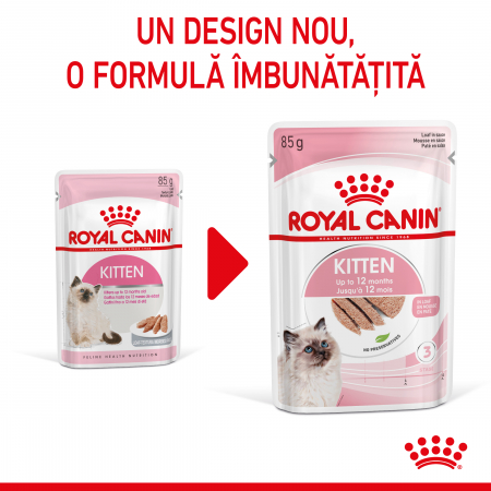 Royal Canin Kitten hrana umeda pisica (pate), 12 x 85 g [0]