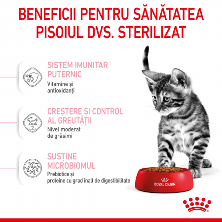 Royal Canin Kitten Sterilised hrana uscata pisica sterilizata junior [2]