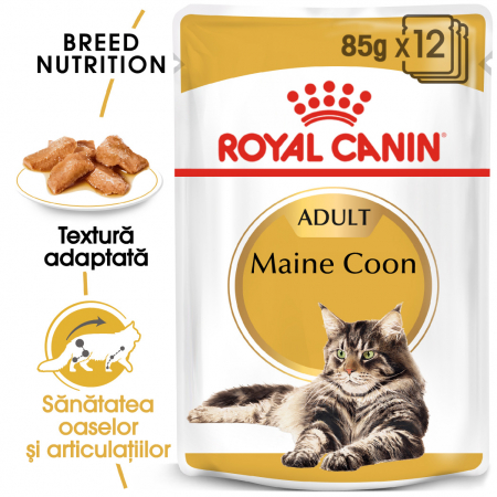 Royal Canin Maine Coon Adult hrana umeda pisica (in sos), 12 x 85 g [0]