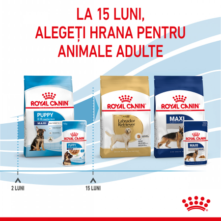 Royal Canin Maxi Puppy hrana umeda caine junior (in sos), 10 x 140 g [6]