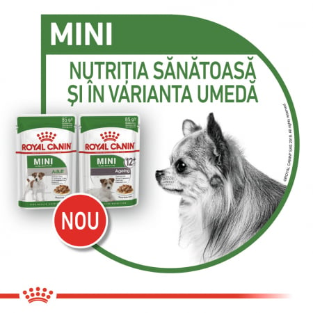 Royal Canin Mini Ageing 12+  hrana umeda caine senior (in sos), 12 x 85 g [4]