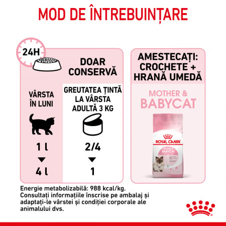 Royal Canin Mother & BabyCat hrana umeda pisica, mama si puiul (textura spumoasa) [6]