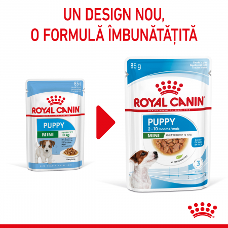 Royal Canin SHN Mini Puppy hrana umeda caine junior (in sos) [0]