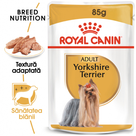 Royal Canin Yorkshire Terrier Adult hrana umeda caine (pate), 12 x 85 g [6]