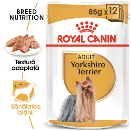 Royal Canin Yorkshire Terrier Adult hrana umeda caine (pate), 12 x 85 g [0]
