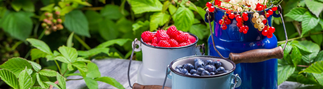 Produse Flavon