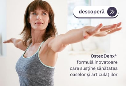 OssteoDenx 8 oct 2024