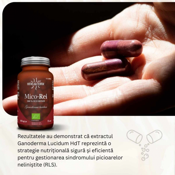 Mico-Rei 70 capsule, Hifas da Terra, extract 15:1 Ganoderma lucidum ECO, benefic pentru somn şi echilibru emoțional, antiinflamator natural [4]