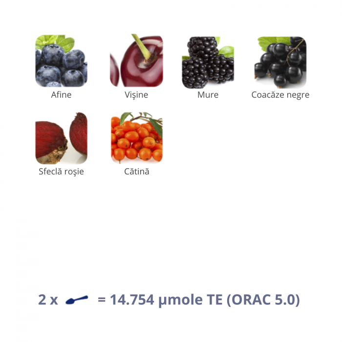 Flavon Kids 240 g, supliment alimentar antioxidant cu consistenţă de gel, formulă concentrată cu polifenoli, vitamina C si complexul de vitamine B [2]