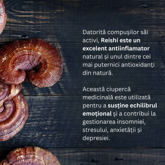 Mico-Rei 70 capsule, Hifas da Terra, extract 15:1 Ganoderma lucidum ECO, benefic pentru somn şi echilibru emoțional, antiinflamator natural [3]