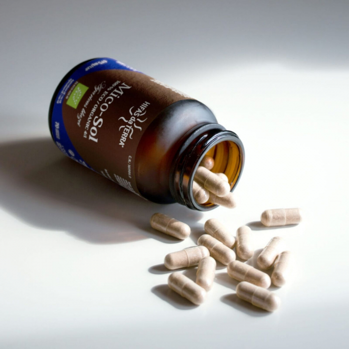 Mico-Sol 70 capsule, Hifas da Terra, extract 4:1 Agaricus Blazei Murrill ECO, stimulează sistemul imunitar, o soluție naturală împotriva alergiilor [5]