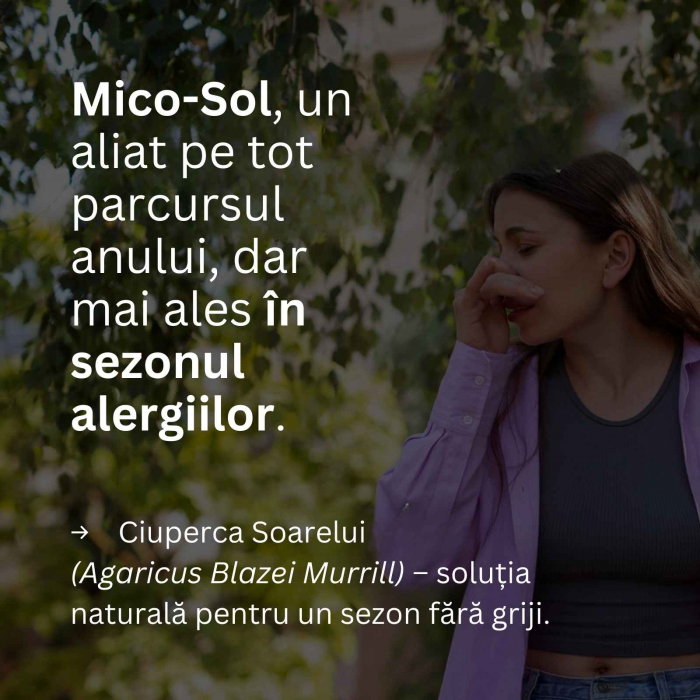 Mico-Sol 70 capsule, Hifas da Terra, extract 4:1 Agaricus Blazei Murrill ECO, stimulează sistemul imunitar, o soluție naturală împotriva alergiilor [4]