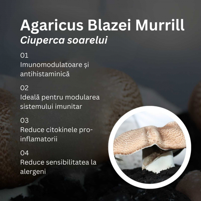 Mico-Sol 70 capsule, Hifas da Terra, extract 4:1 Agaricus Blazei Murrill ECO, stimulează sistemul imunitar, o soluție naturală împotriva alergiilor [3]