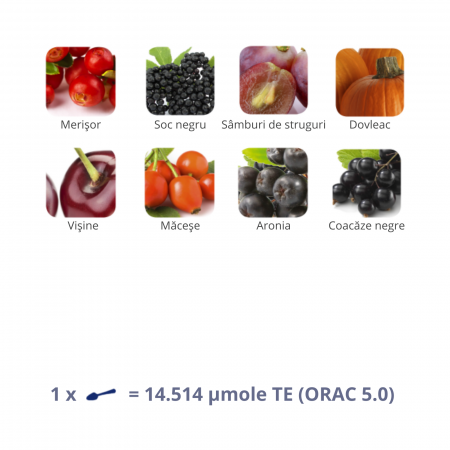 Flavon Protect 240 g, supliment alimentar antioxidant cu consistenţă de gel, formulă concentrată cu polifenoli, vitamina C şi inulină [1]