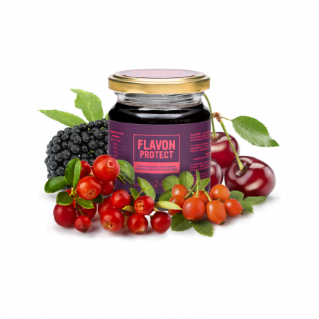 Basic - Flavon Protect 240 g, supliment alimentar antioxidant cu consistenţă de gel, formulă concentrată cu polifenoli, vitamina C şi inulină