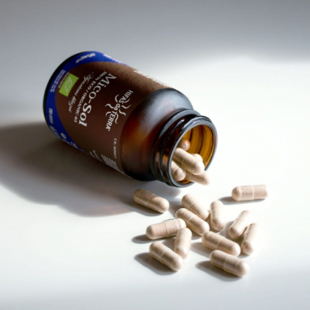 Mico-Sol 70 capsule, Hifas da Terra, extract 4:1 ciuperca Agaricus Blazei Murrill ECO, stimulează sistemul imunitar, o soluție naturală împotriva alergiilor [4]