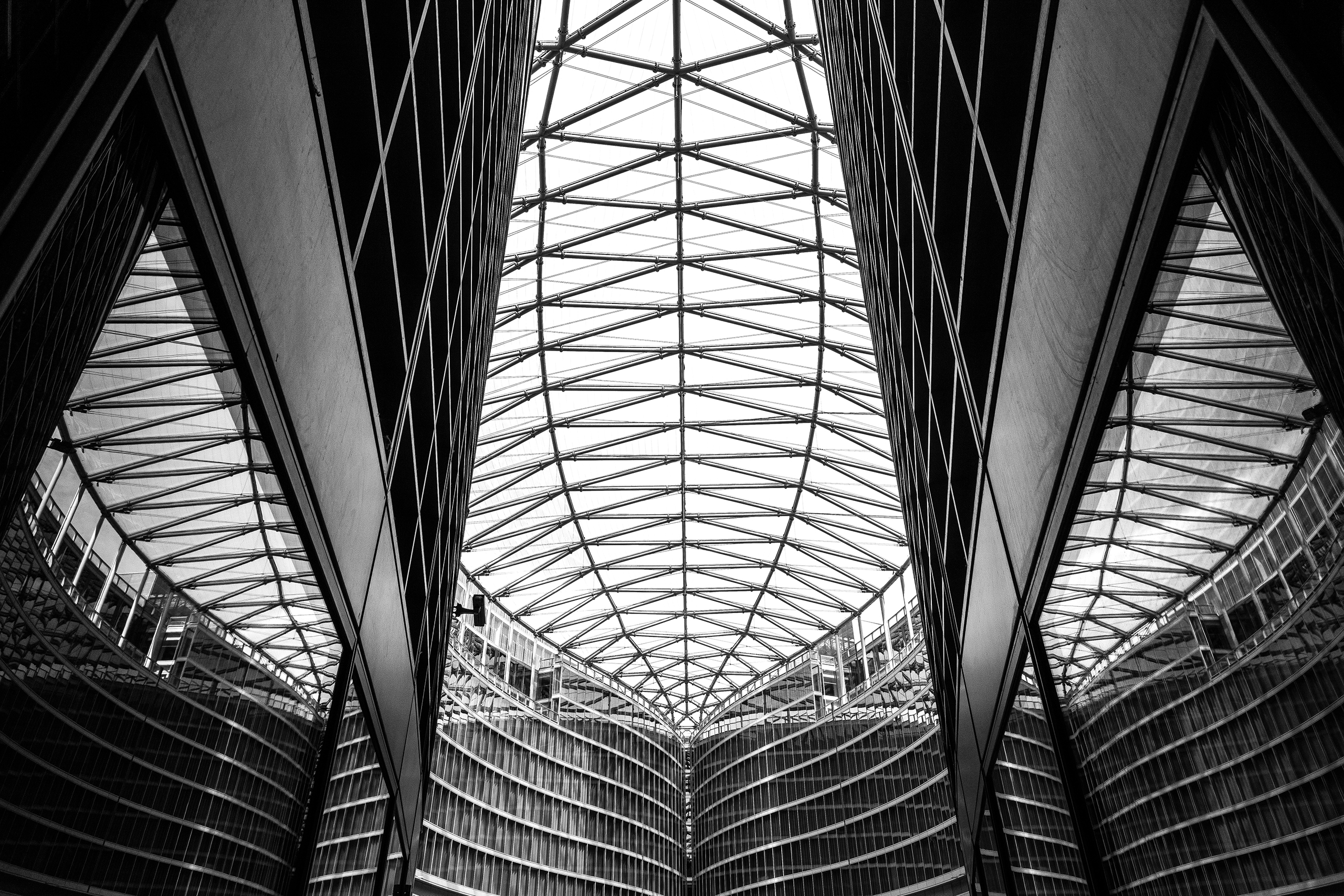 Galerie imagini