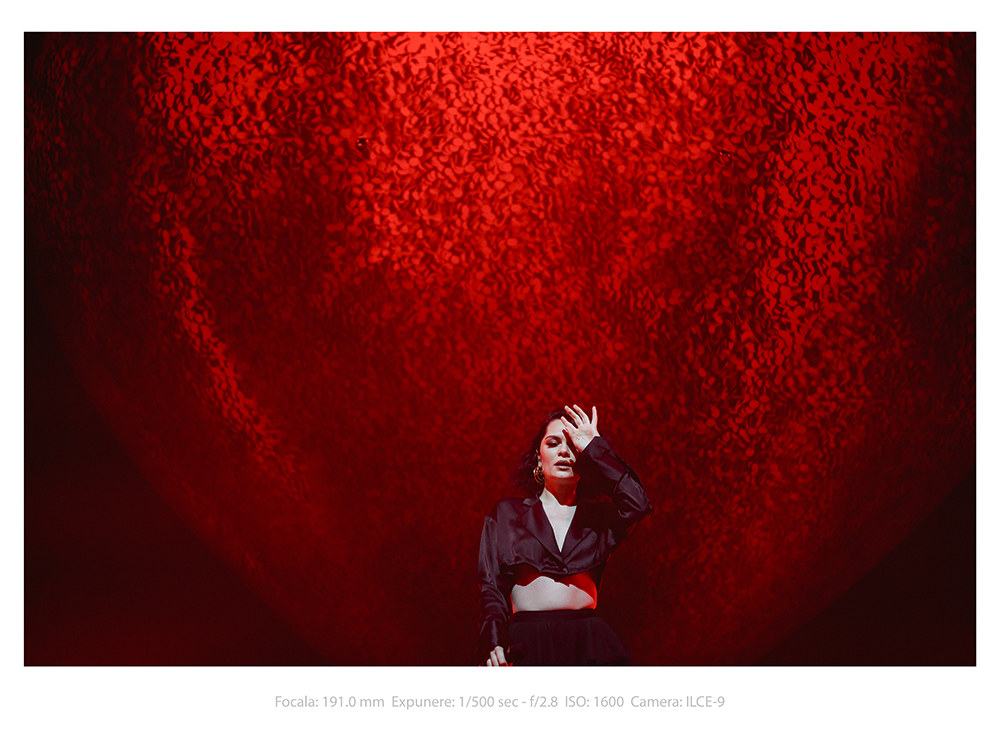 Galerie imagini