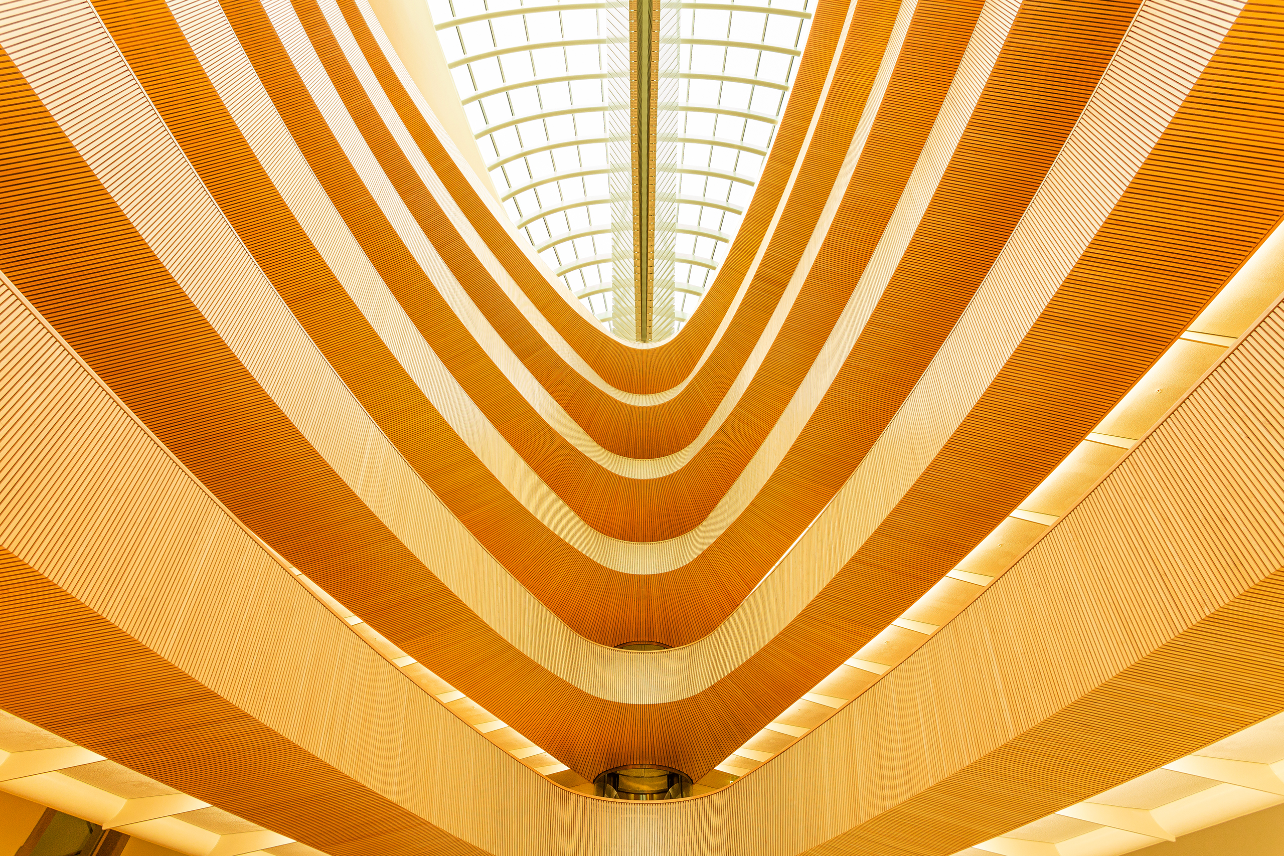 Galerie imagini