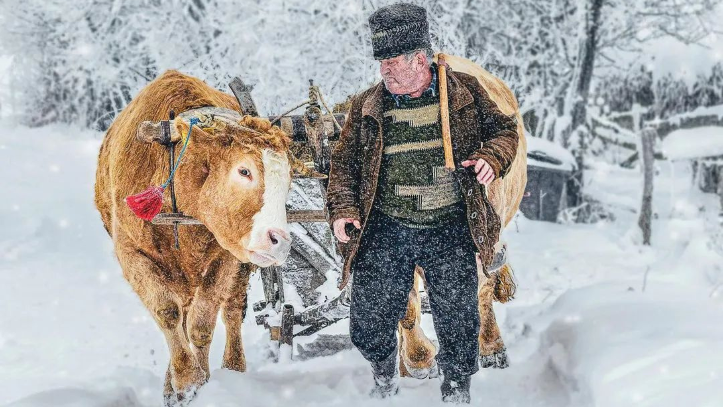 Sarbatorim impreuna Ziua Artei Fotografice in Romania