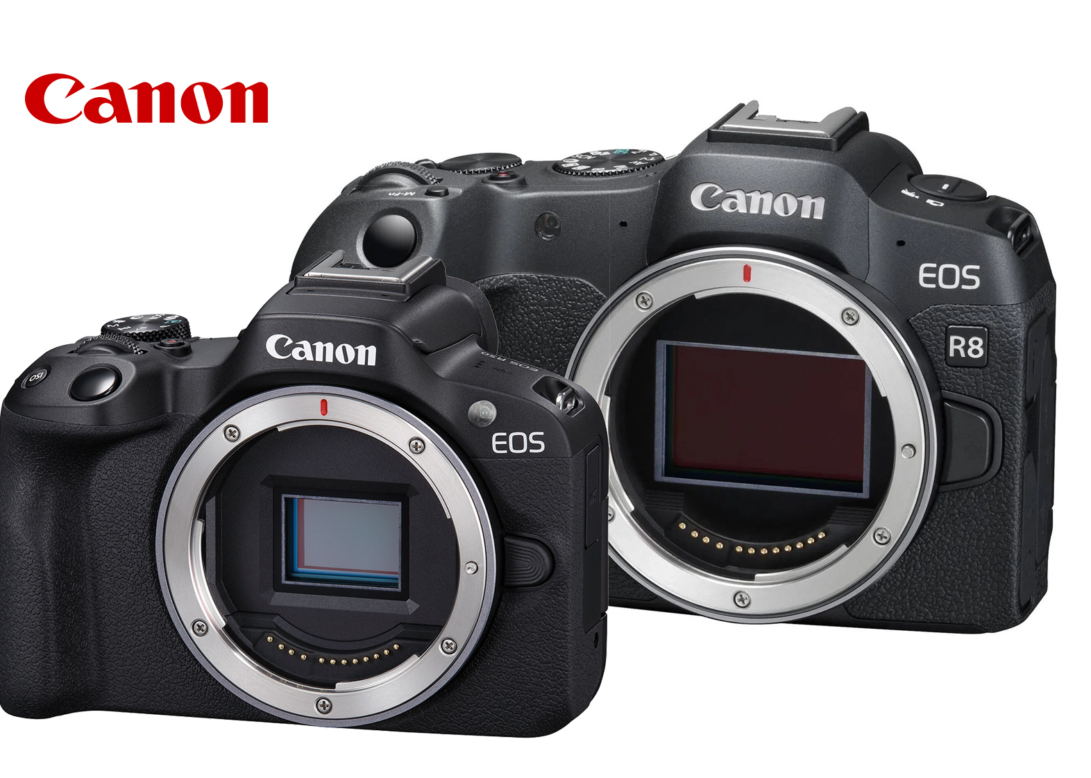 Canon lanseaza EOS R8 si EOS R50