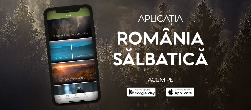 Romania Salbatica lanseaza Aplicatia pentru mobil