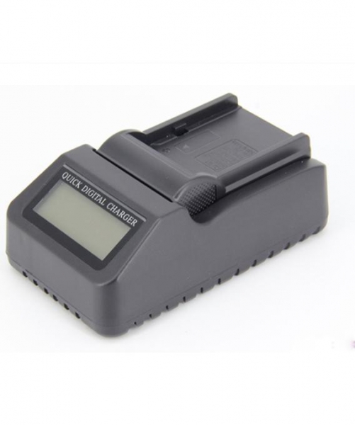 Digital Power Incarcator rapid cu LCD compatibil JVC VF815 [2]
