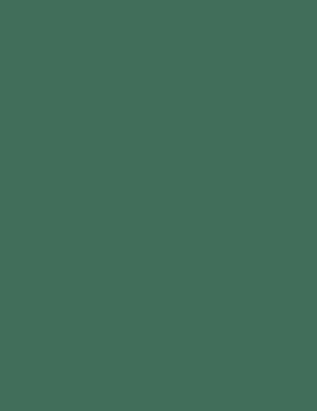 Colorama fundal foto verde Spurce Green 2,72 x 11m [1]