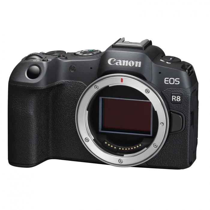 Canon EOS R8 Kit RF 24-50mm F4.5-6.3 IS STM [2]