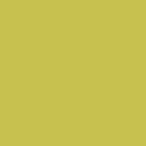 Fundal foto verde Mustard Green 1.35  x 10m [2]