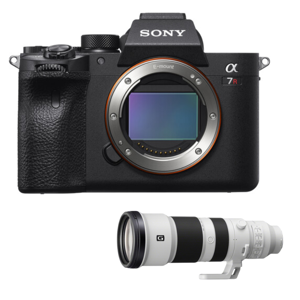 Sony A7R IV Sony 400-800mm G OSS