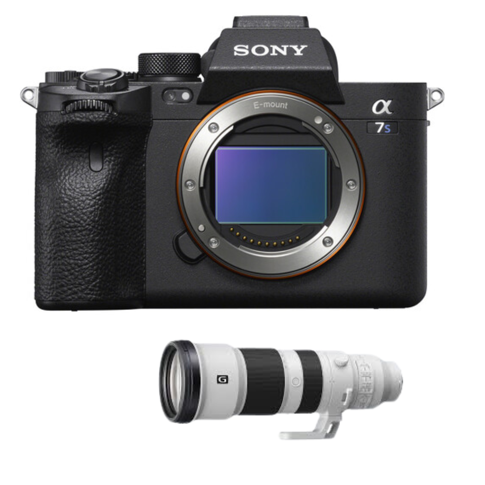 Sony A7S III + Sony 400-800mm f/6.3-8 G OSS [1]