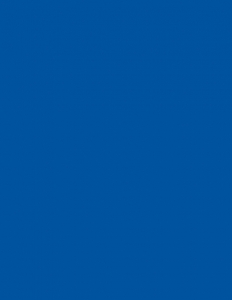 Colorama fundal PVC Royal Blue [1]