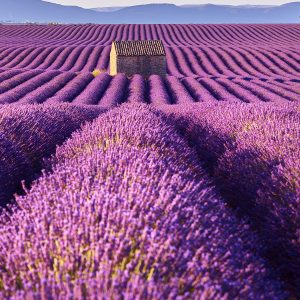Tratamente SPA Bionatural - Tratament Soin Escapade Relaxante