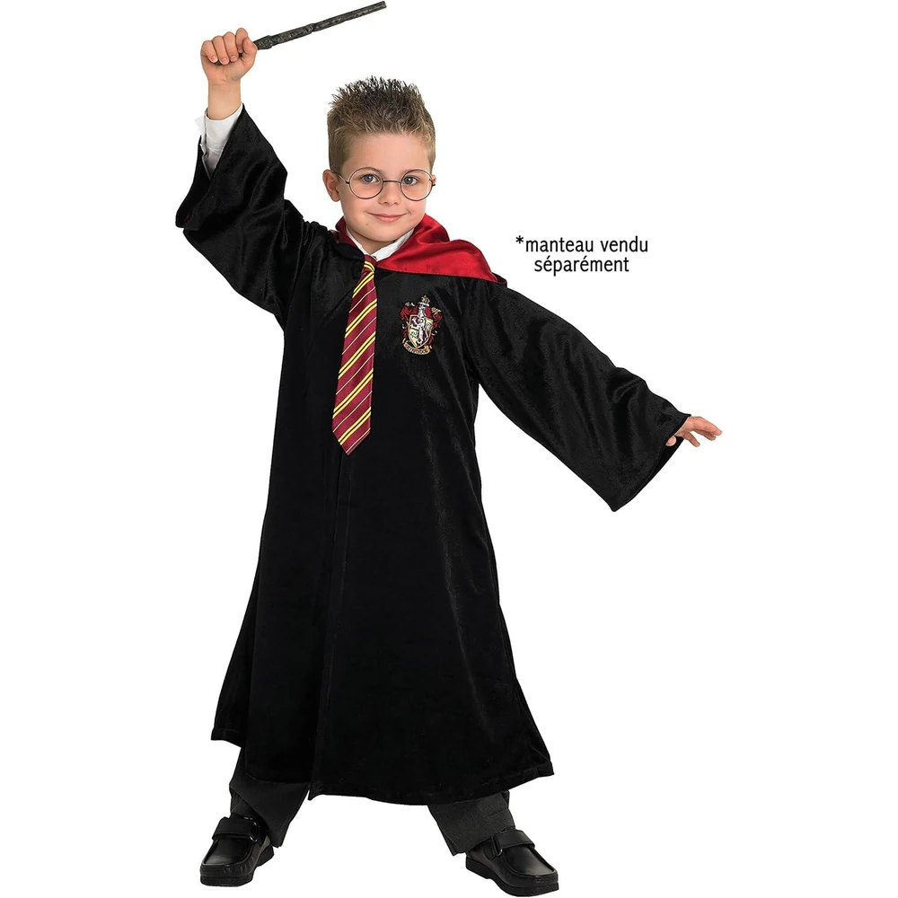 Accesorii Harry Potter - Bagheta, cravata & ochelari [2]