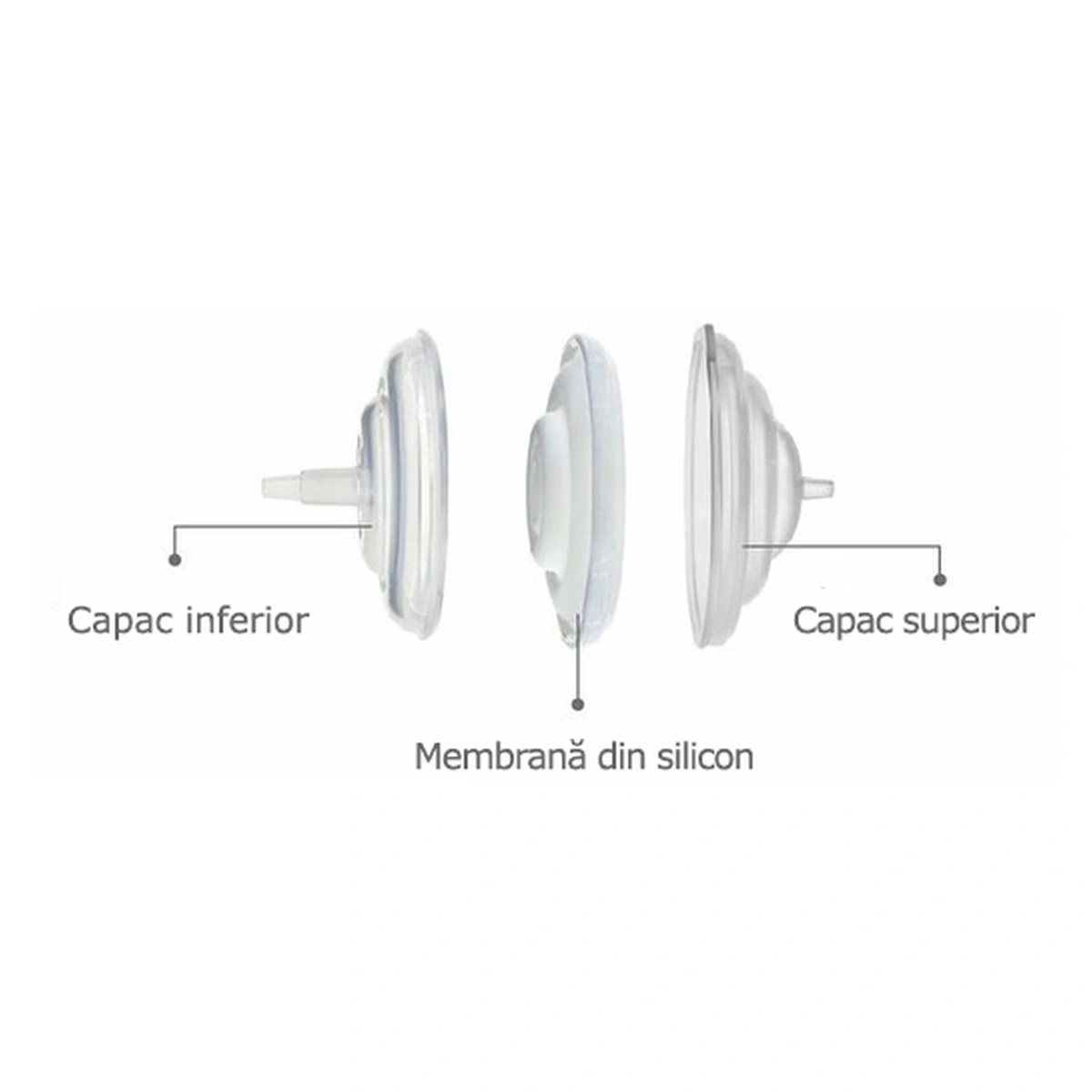 Accesorii pompa - Filtru protectie flux invers [2]