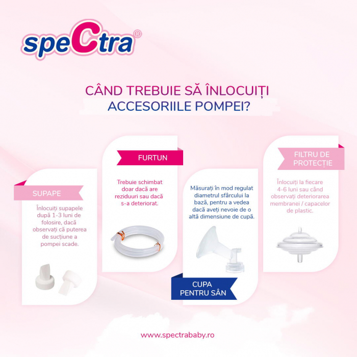 Accesorii pompa - Filtru protectie flux invers [3]
