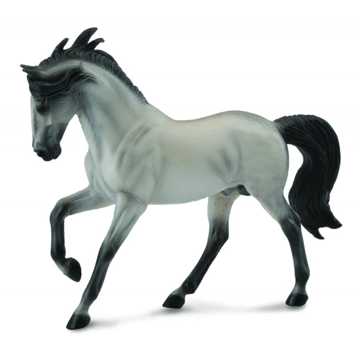 Armasar Murg Andaluz Sur [1]