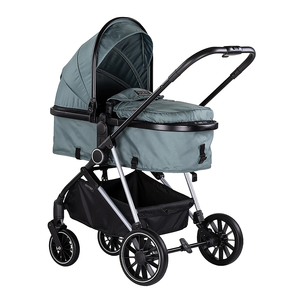 Carucior Aura 2 in 1 - Chipolino, Basil [1]