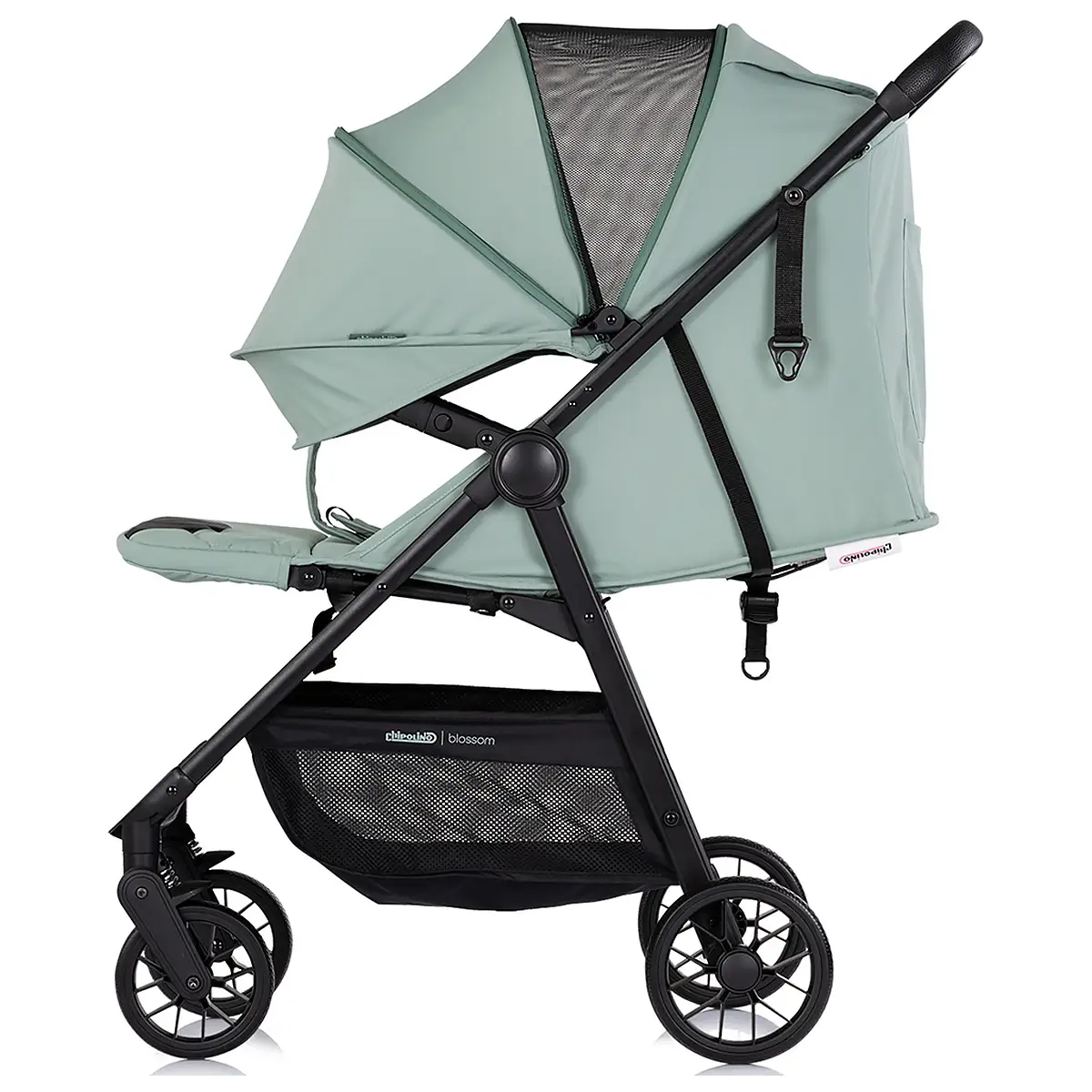 Carucior sport Chipolino Blossom matcha [5]