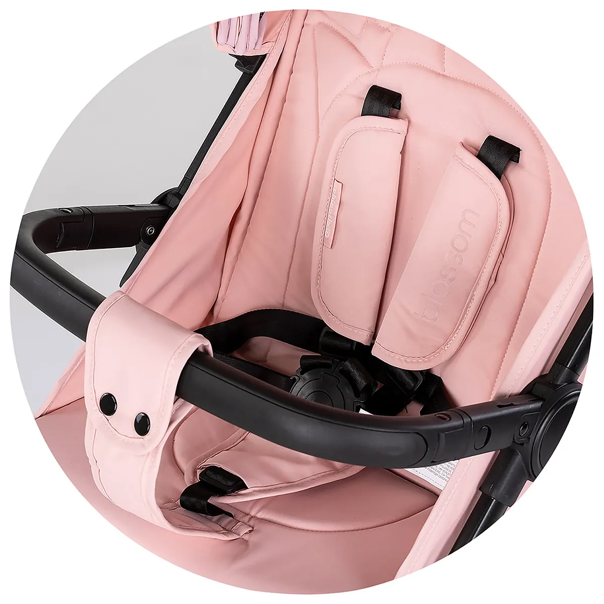 Carucior sport Chipolino Blossom powder pink [12]