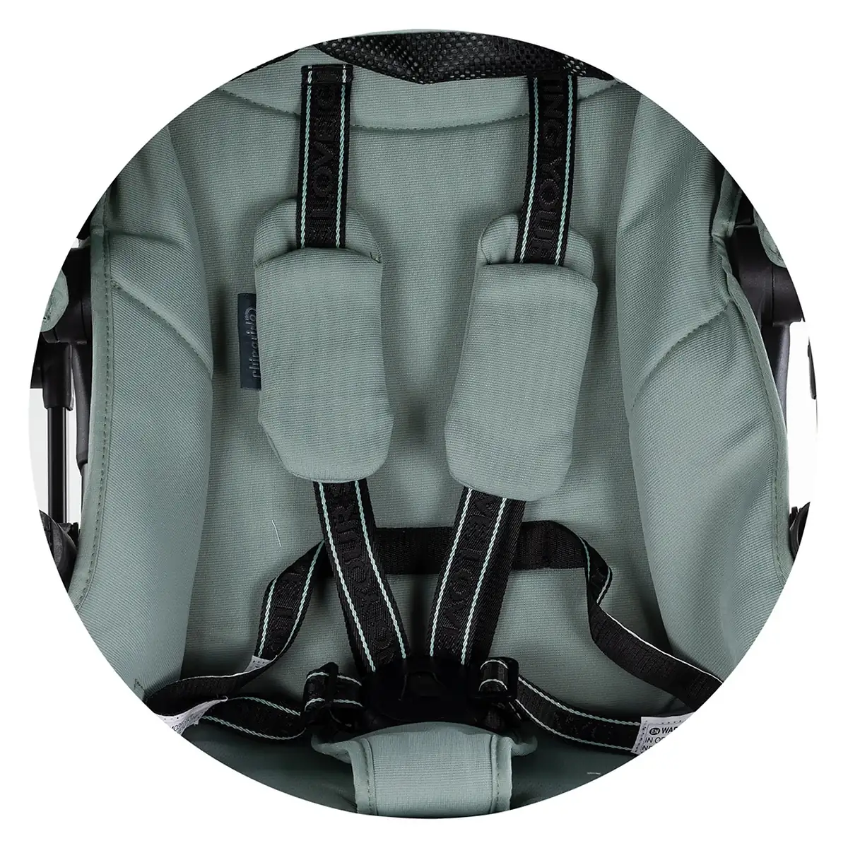 Carucior sport Chipolino Revolut Basil [14]