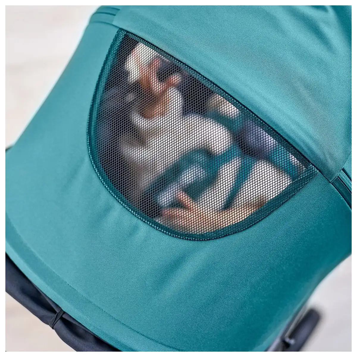 Carucior sport, Lionelo, Mira, Maner reglabil in 5 pozitii, Spatar si suport de picioare reglabile, Plasa de tantari si [19]